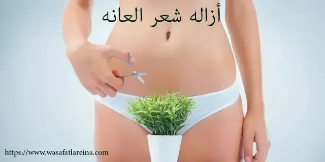 ازالة شعر العانه بدون ألم و بأفضل الطرق