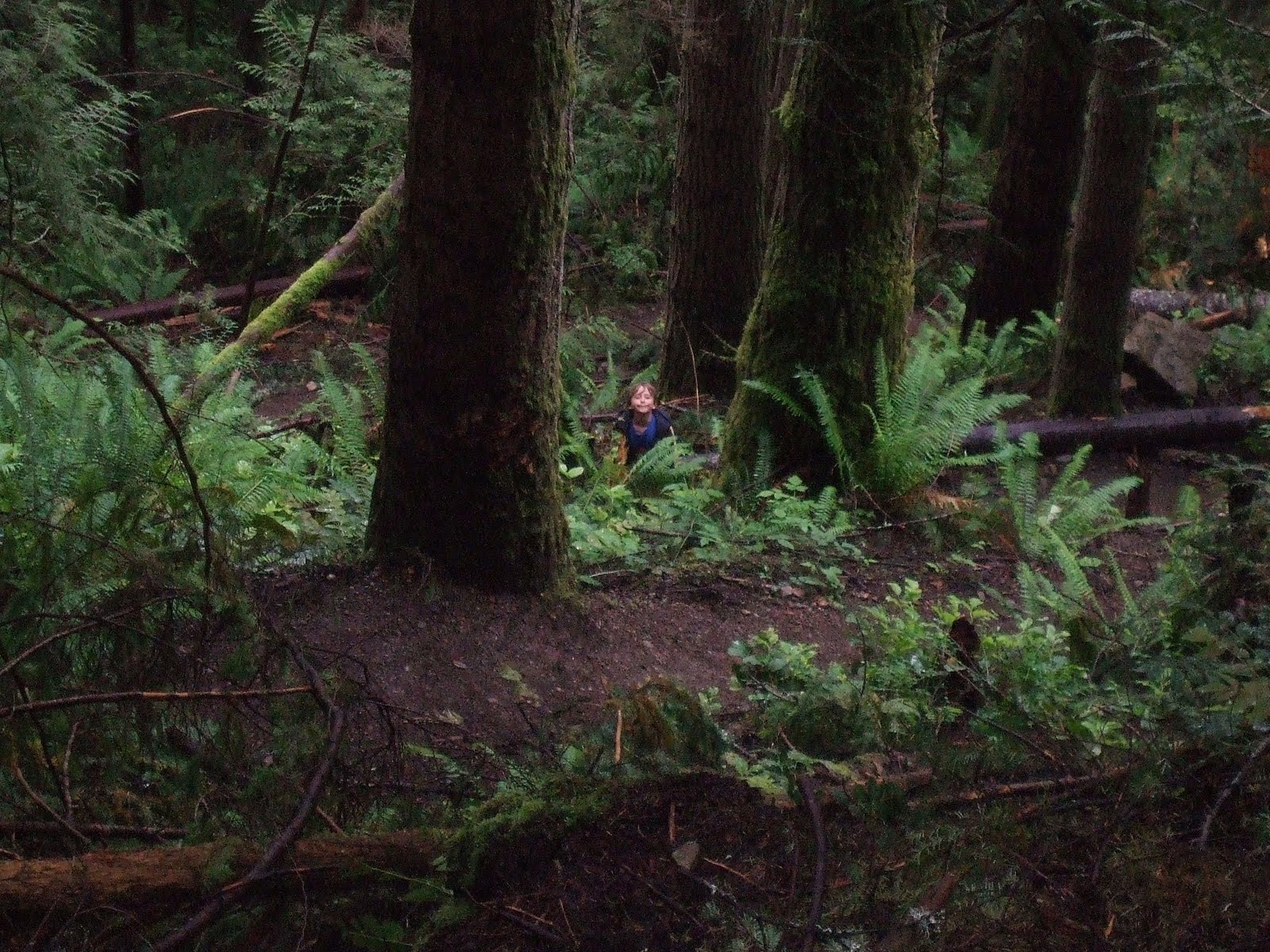 A Homeschool Mom's Hiking Blog: Explorer Falls ~ June 30th 2011