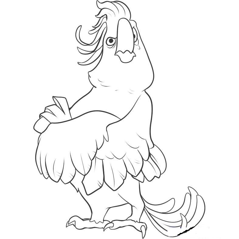 Hudtopics Printable Cartoon Jewel Rio Coloring Pages For Kids Hudtopics Printable Cartoon Jewel Rio Coloring Pages For Kids