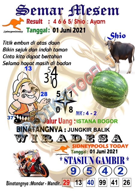 50 Syair sdy toto gelo