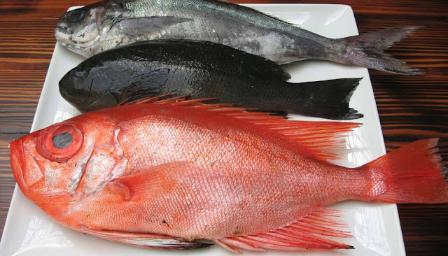 13 Makanan Penurun Darah Tinggi yang Sebaiknya Dikonsumsi Penderita Hipertensi