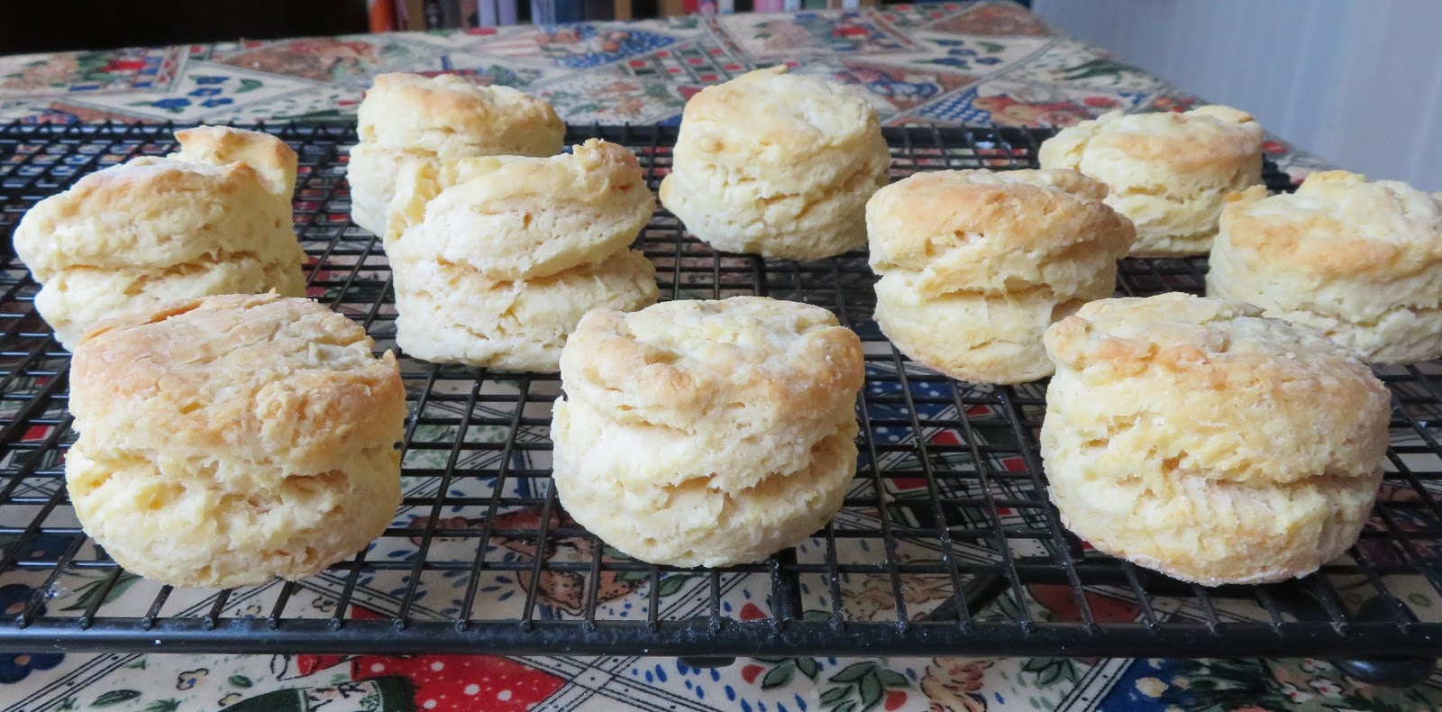 Cream Biscuits The English Kitchen