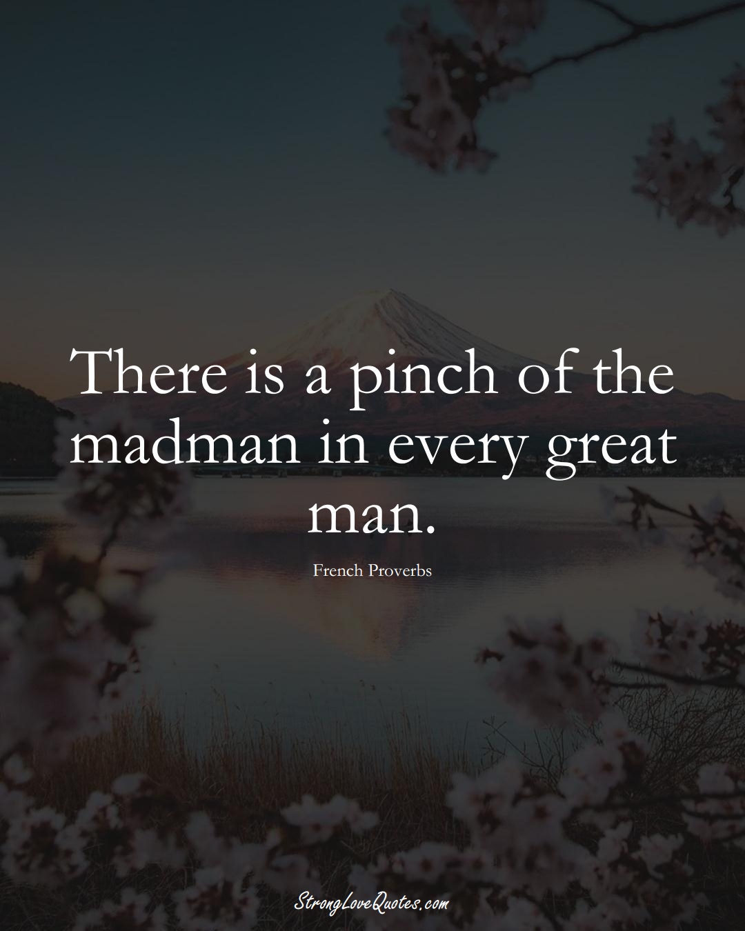 There is a pinch of the madman in every great man. (French Sayings);  #EuropeanSayings