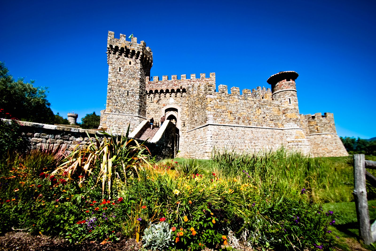 California Excursion Castello di Amorosa...