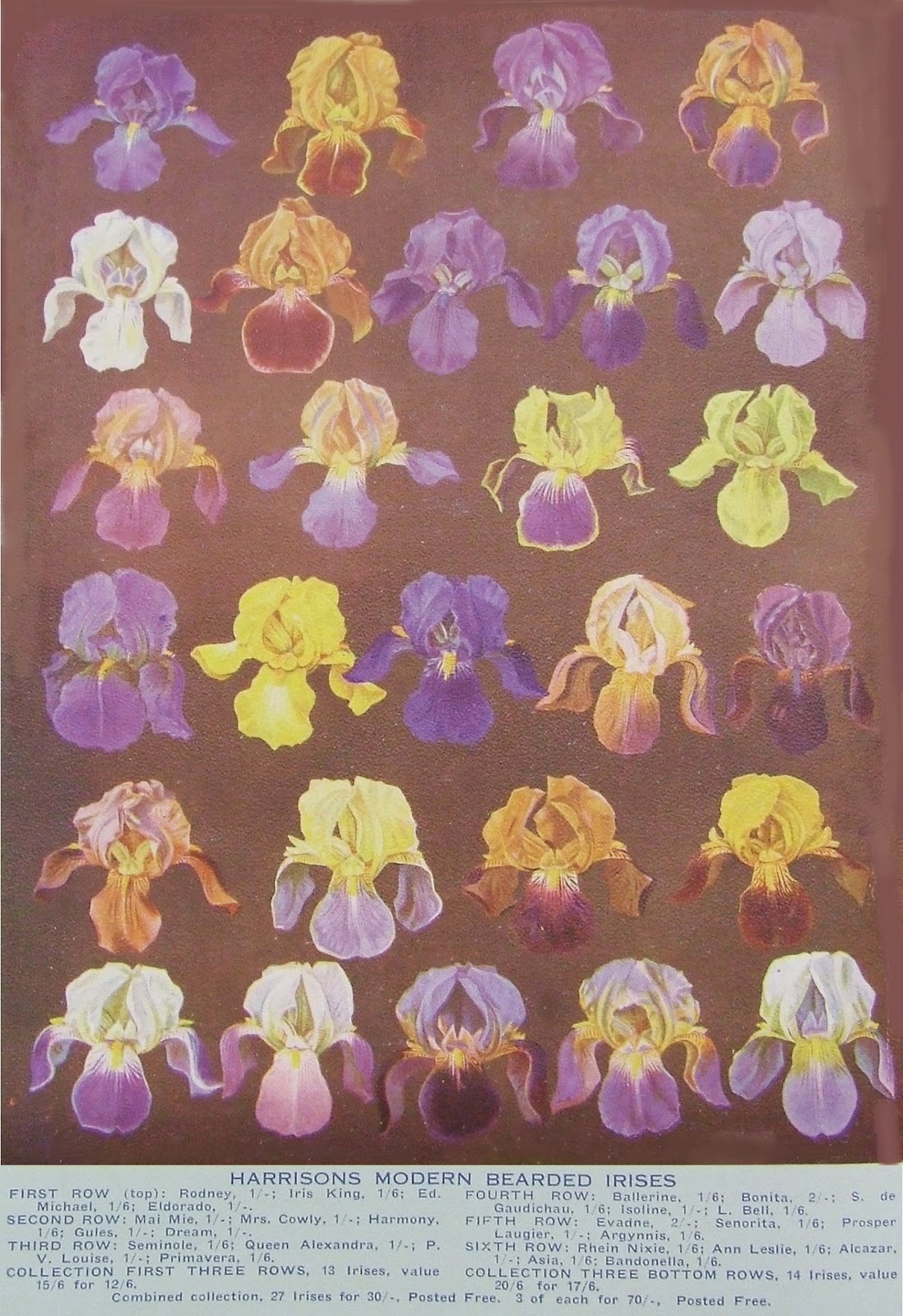 HISTORIC IRISES HERITAGE IRISES