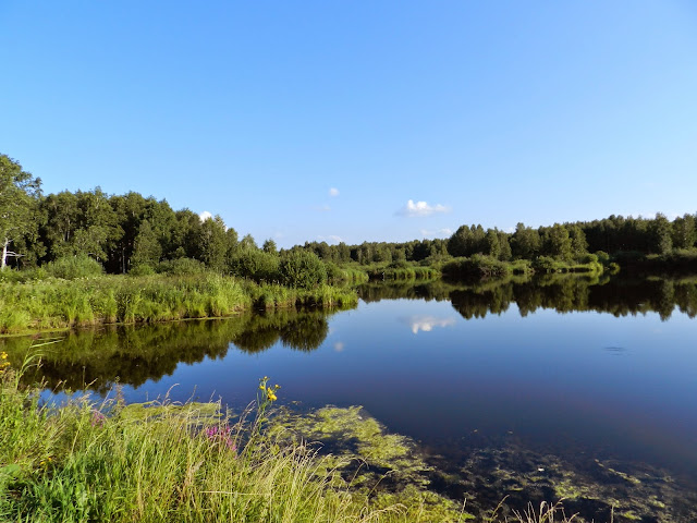 Бухаринский плёс вверх по течению