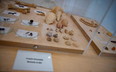 Σπουδαία αρχαιολογικά ευρήματα της Κέρου έρχονται στο φως με τη δύναμη της ψηφιακής τεχνολογίας