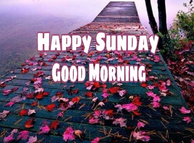 Good Morning Happy Sunday | 25+ Good morning happy Sunday Images