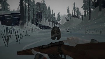 The Long Dark PC Game