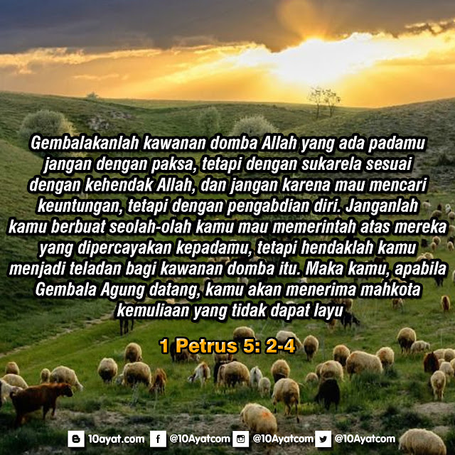 1%2BPetrus%2B5 %2B2 4