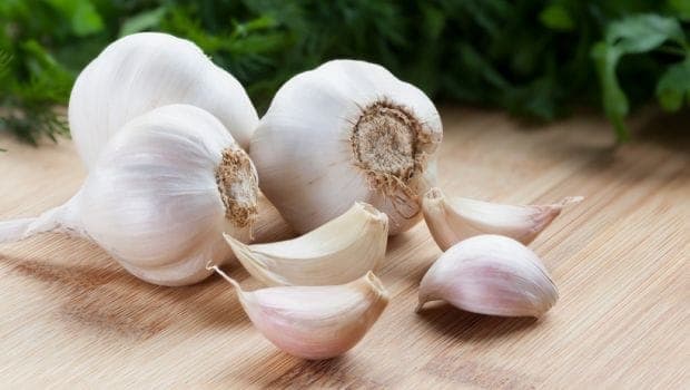 These are special benefits from regular use of garlic. Funny Jokes These are special benefits from regular use of garlic. Funny Jokes