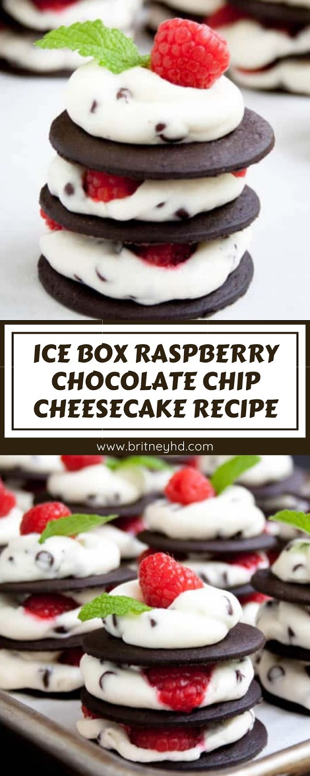 ICE BOX RASPBERRY CHOCOLATE CHIP CHEESECAKE RECIPE ICE BOX RASPBERRY CHOCOLATE CHIP CHEESECAKE RECIPE