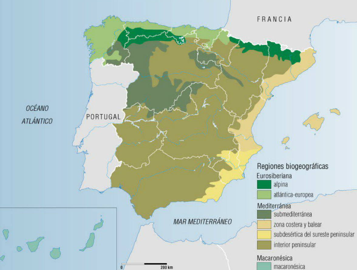 DidactaSociales Tema 5º LAS REGIONES BIOGEOGRÁFICAS DidactaSociales Tema 5º LAS REGIONES BIOGEOGRÁFICAS