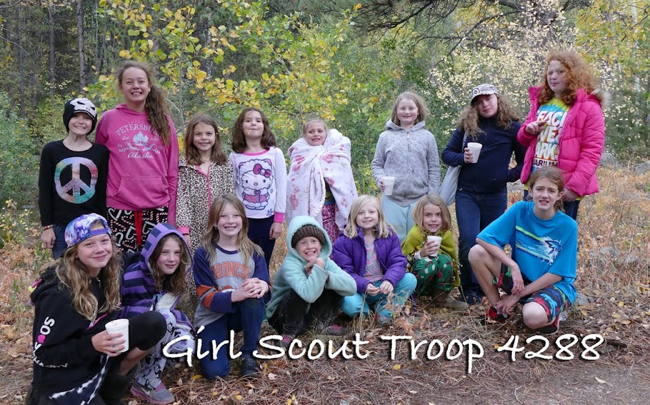 Girl Scout Troop 4288