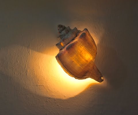 shell wall sconce