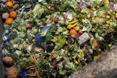 Στα σκουπίδια καταλήγει το 50% των τροφίμων