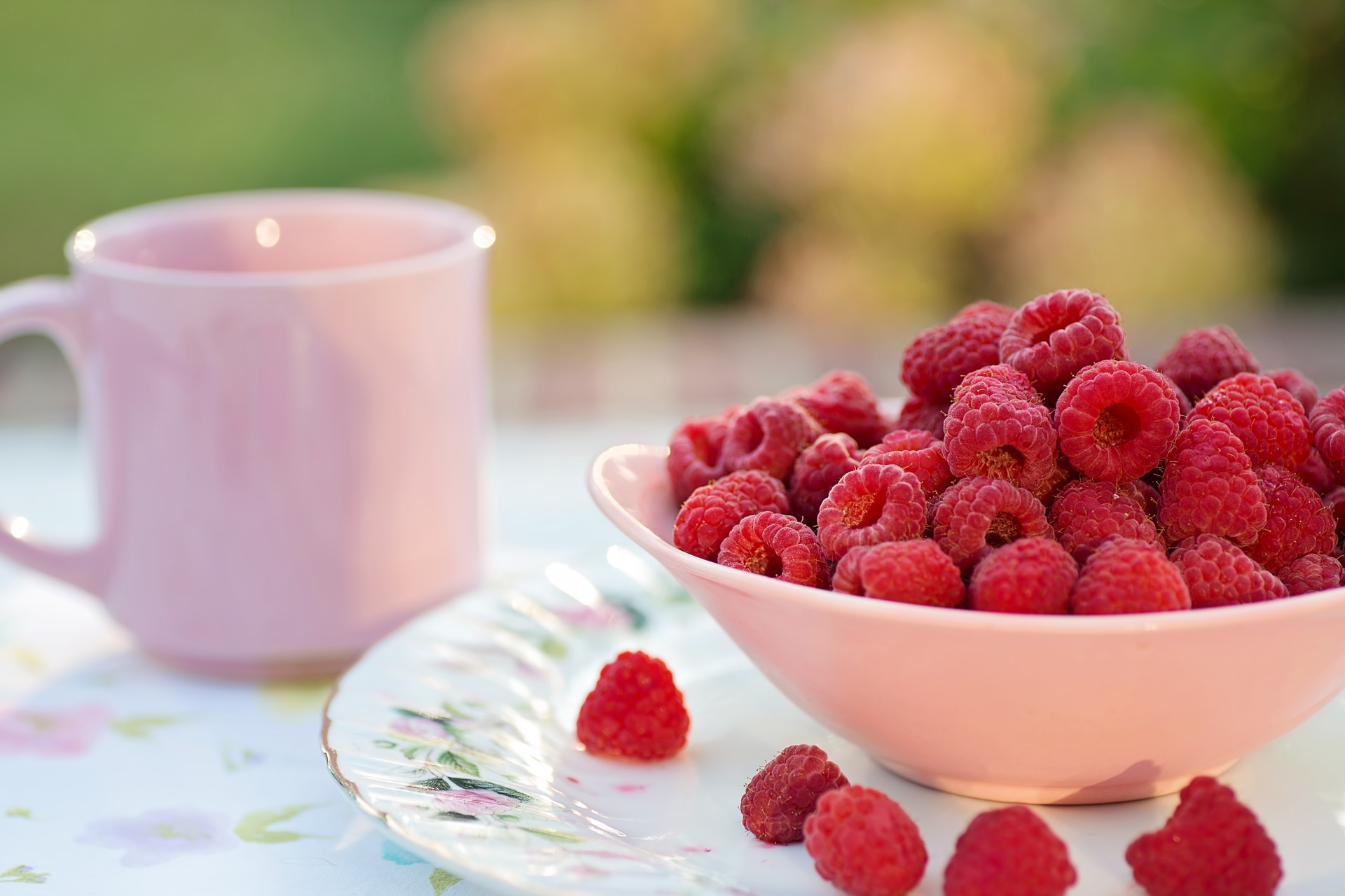 Grow Raspberries