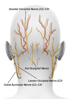 Cervical Spine Causes of Ear Pain | Fauquier ENT Blog