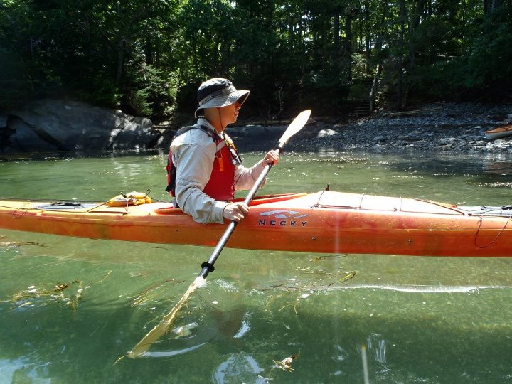 Maine Kayak The Way Paddling Should Be! Sea Kayaking Half Day Trip