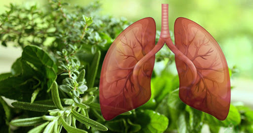 How To Instantly Get Rid Of Phlegm And Mucus In Chest And Throat