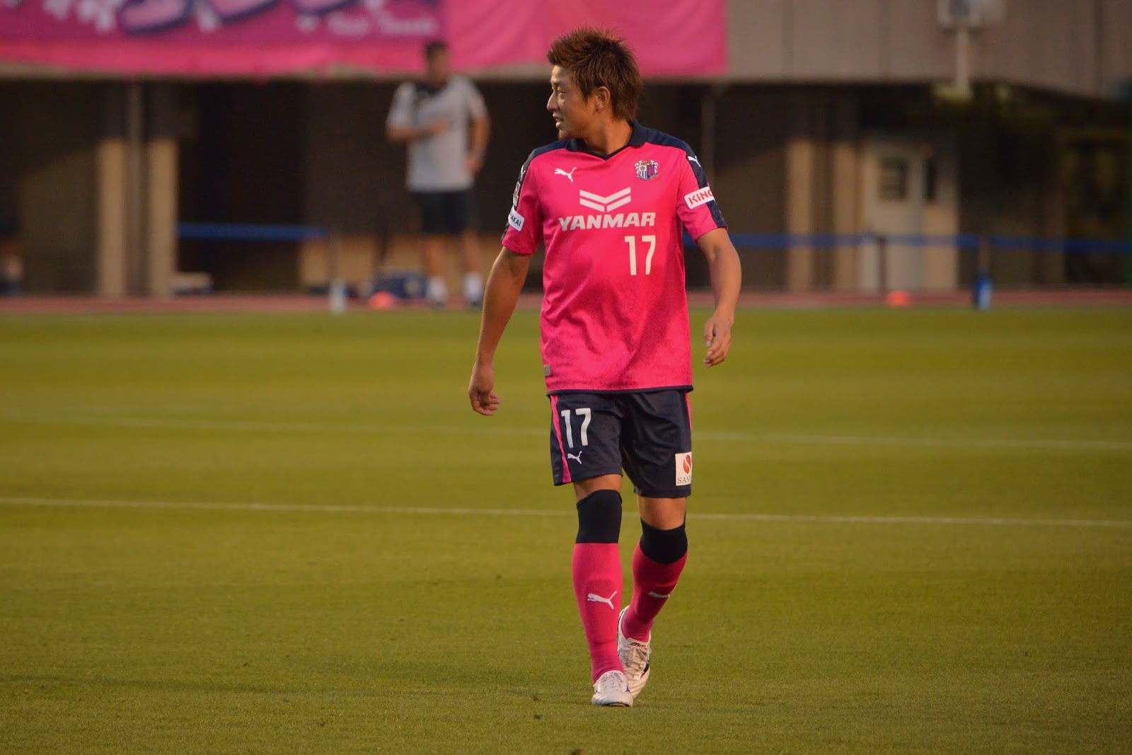 セレッソ大阪狂乱観戦記 O Lunatico Amou Futebol 6月 15