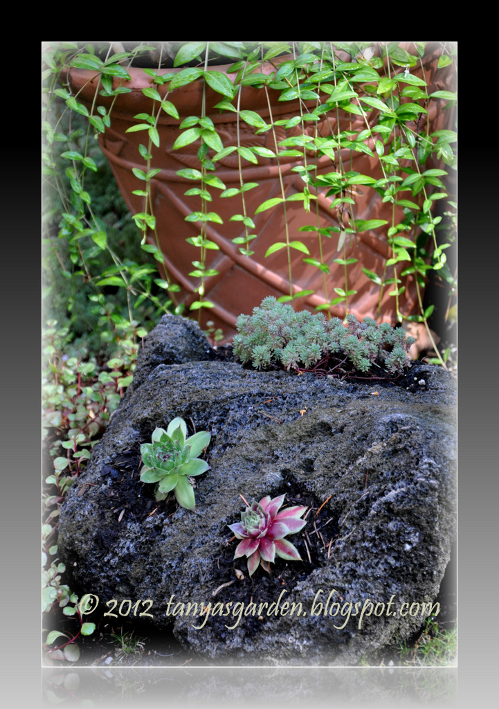 MySecretGarden: My Garden Accessories