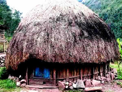 View Rumah Adat Papua Yang Dijadikan Untuk Tempat Menyimpan Hewan Ternaknya Disebut Rumah PNG