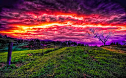 amazing laptop sky wallpapers desktop cartoon background nature shaun sheep cool purple pixelstalk grassland bing field wiki related landscape pages