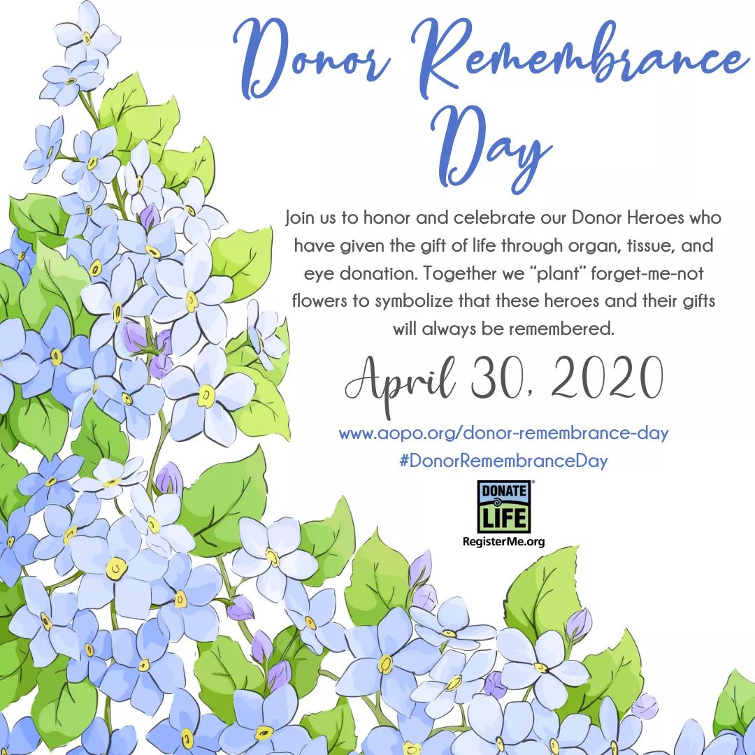 Hanging Off The Wire Donor Remembrance Day MasonsMission DonateLife