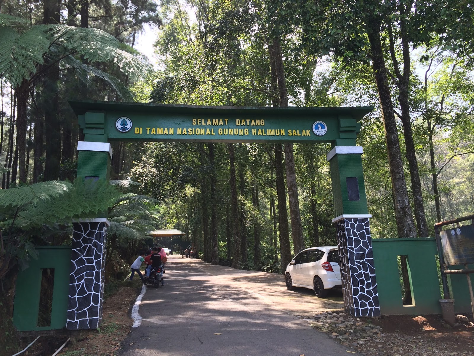 Taman Nasional Gunung Halimun Salak Bogor The Heart Of Java