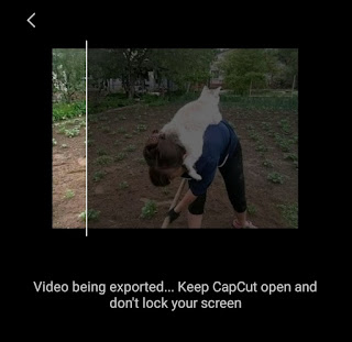 how to export video in capcut