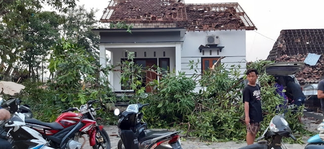 Terjangan Angin Lesus di Sukolilo Pati, Rusak Delapan Rumah dan Robohkan Sejumlah Pohon
