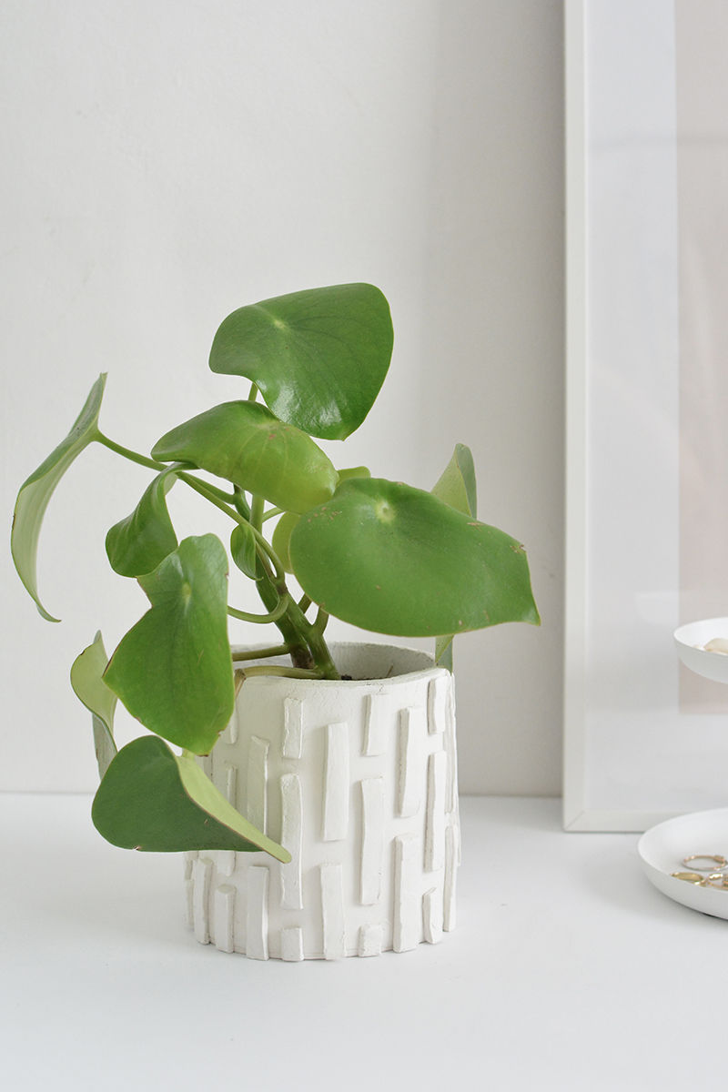 DIY textured clay planter — Caroline Burke Burkatron