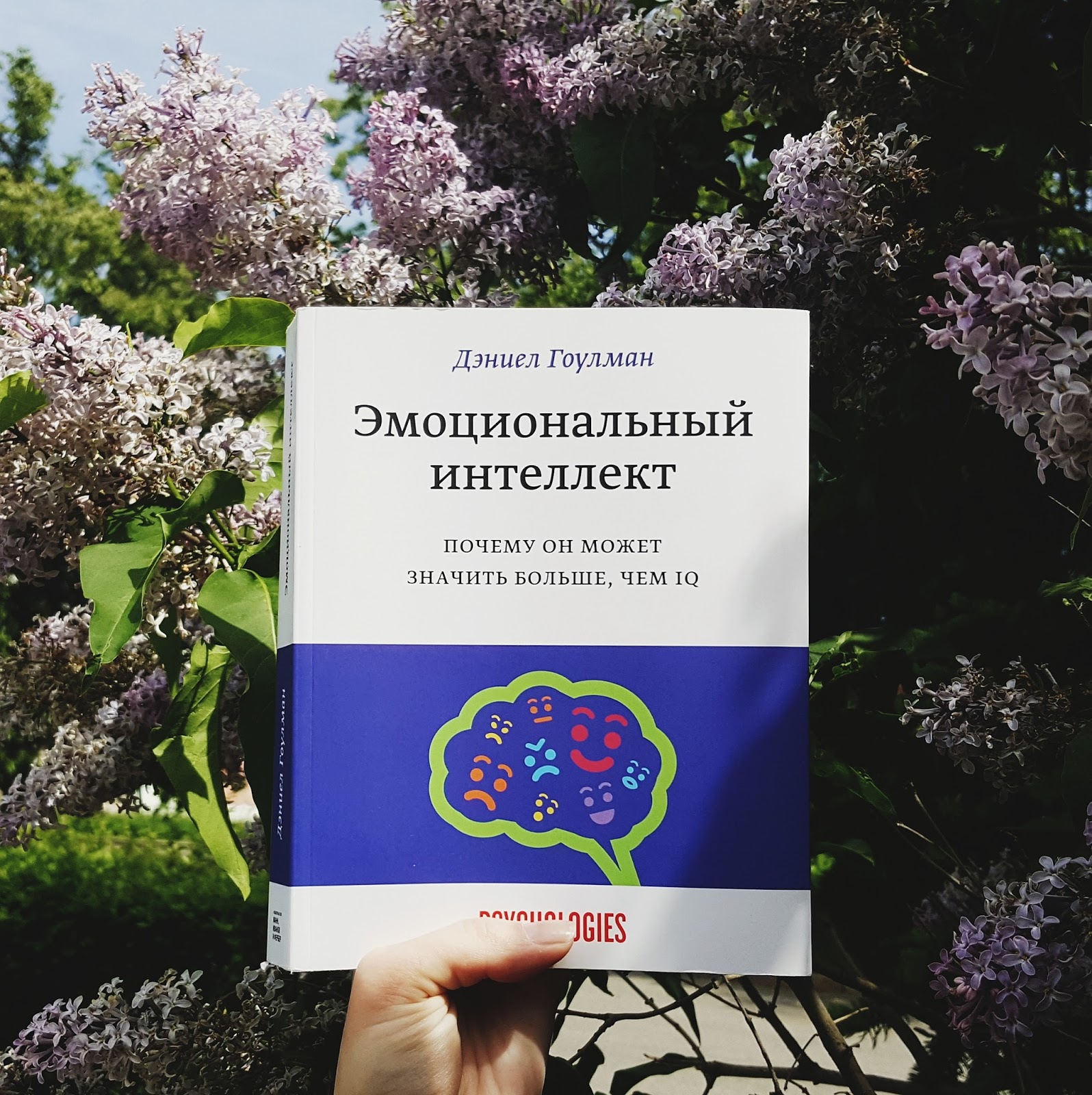 эмоциональный интеллект книга гоулман. даниэль боулман эмоциональный интеллект. д гоулман эмоциональный интеллект. эмоциональный интеллект книга гоулман. книга эмоциональный интеллект дэниел.
