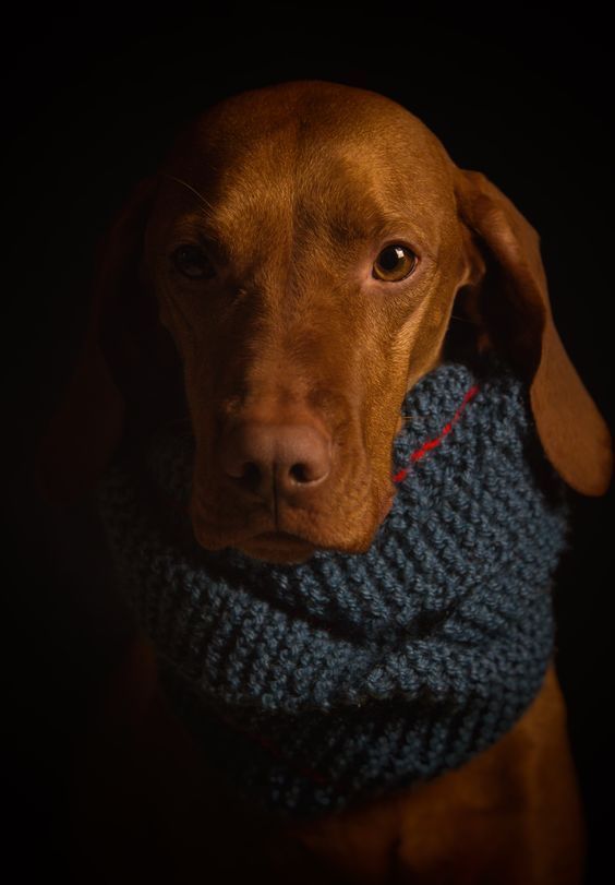 SERENIDADE TRADUZIDA EM IMAGENS