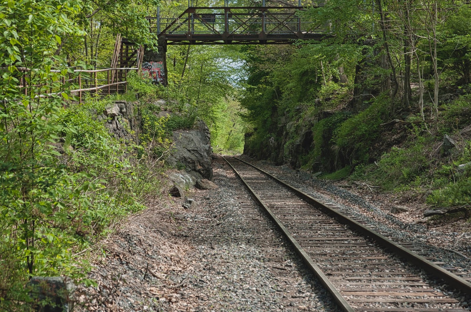 Connecticut Diaries Foot Bridge and Tracks