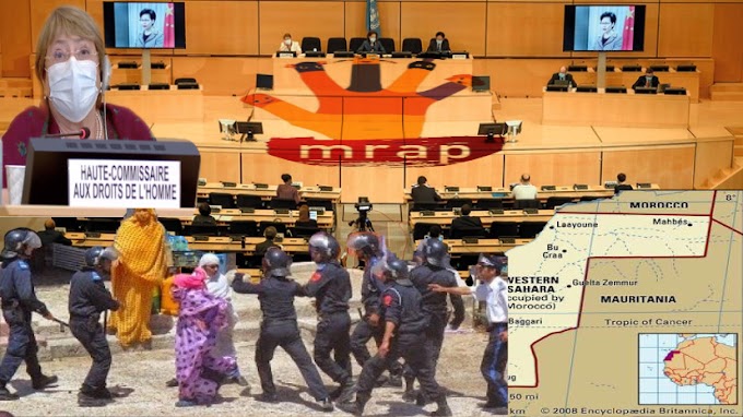 منظمة فرنسية تحذر الهيئات الأممية من عواقب إعتماد أنشطة مؤسسات مغربية تساهم في ترسيخ الإحتلال بالصحراء الغربية