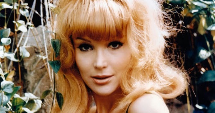 Slice of Cheesecake: Francine York, pictorial