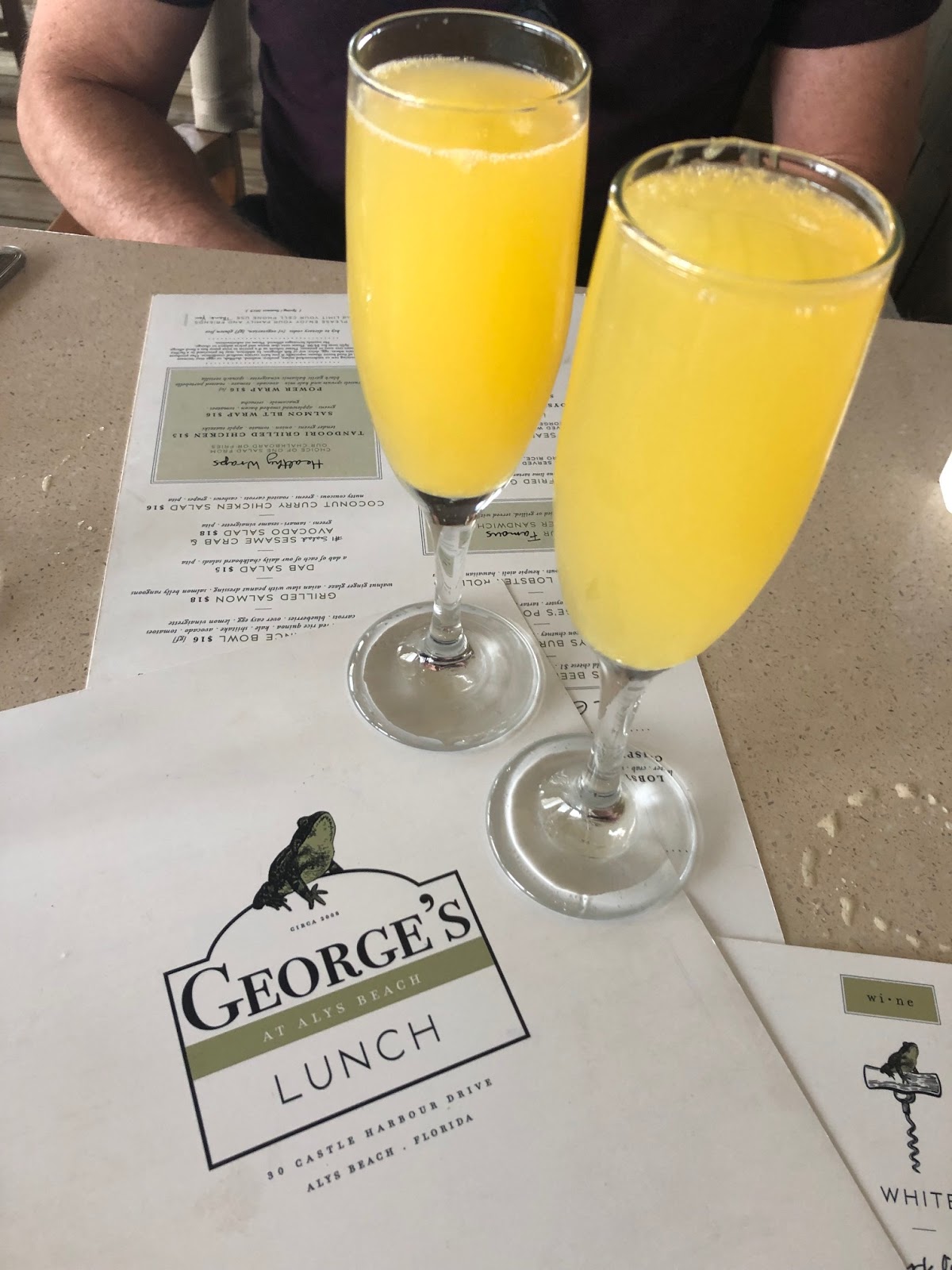 The Uptown Acorn Uptown Acorn Travels {Watercolor, Florida}