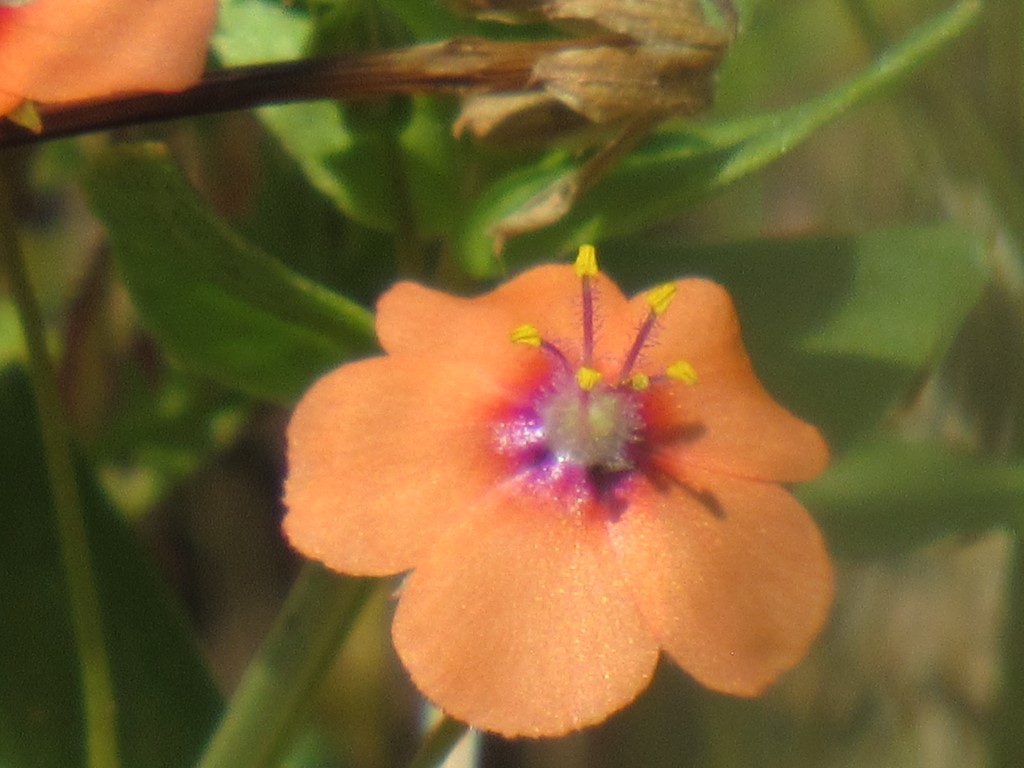 French Valley Wildlife Area... HAERR TRIPPIN'