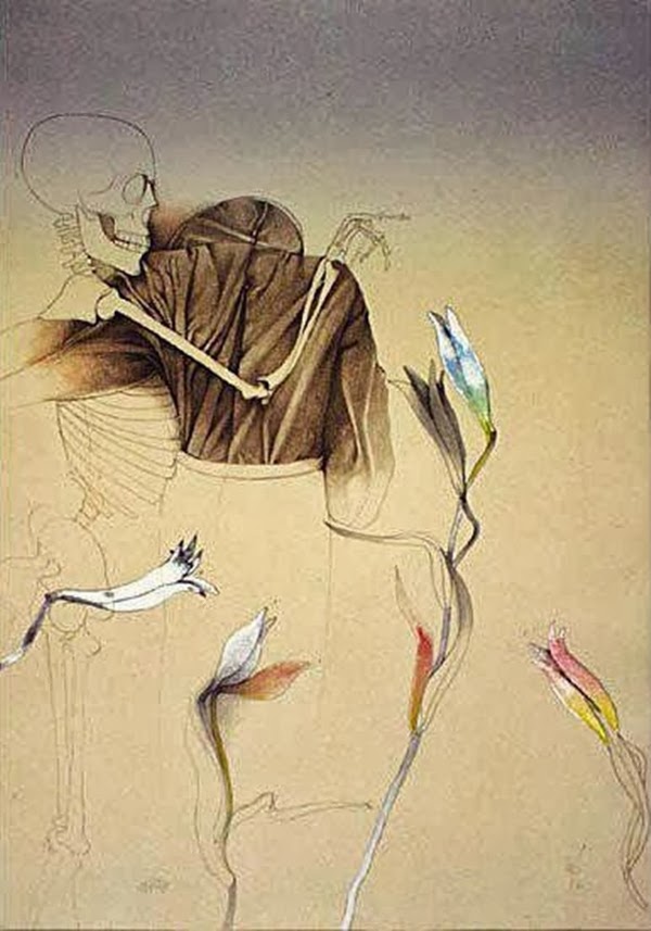 Bilder Bruno Bruni: Unleash Your Inner Artist with Bruno the Bear!