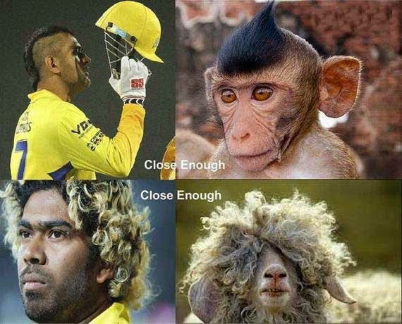 Best Whatsapp Status: Whatsapp Funny Images of Cricketers