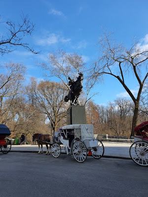 Passeio de carruagem no Central Park
