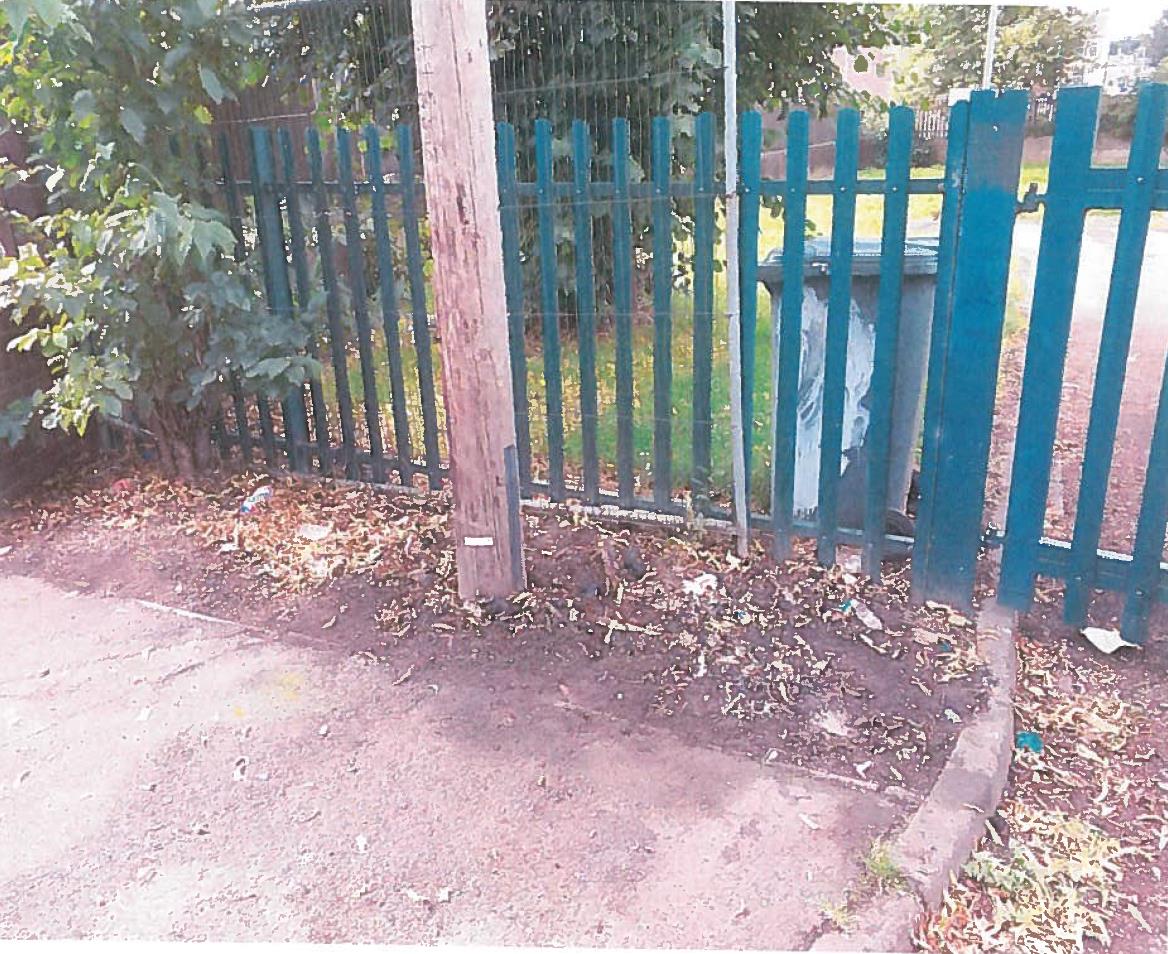 Kirklees Labour Newsletter