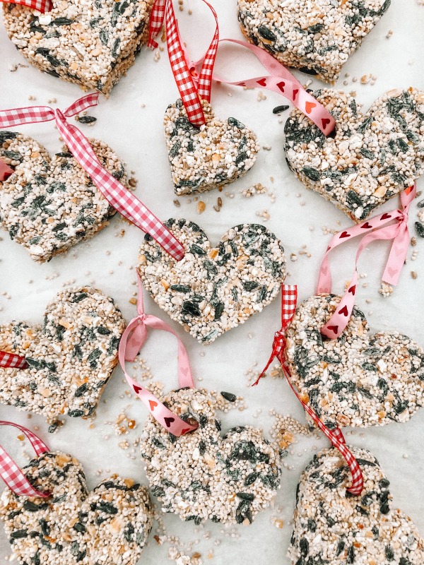Me and My Pink Mixer: Heart-Shaped Bird Feeders {DIY}