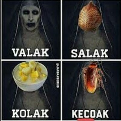 1.bp.blogspot.com/-xr9ucJcnnHI/V2G3s9vSSqI/AAAAAAAAA4c/DIFuY3lZFRI5AIB_yfC_Pe5ZQQeVEvIsACLcB/s400/salak.jpg