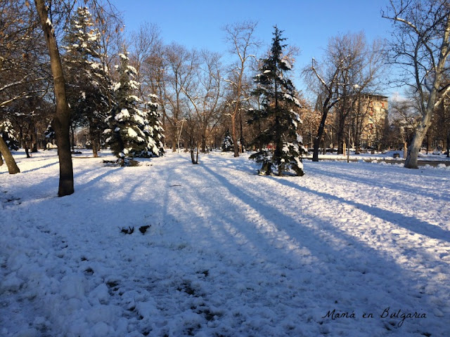Invierno en Borisovata Gradina, o Parque de la Libertad, Sofía, Bulgaria