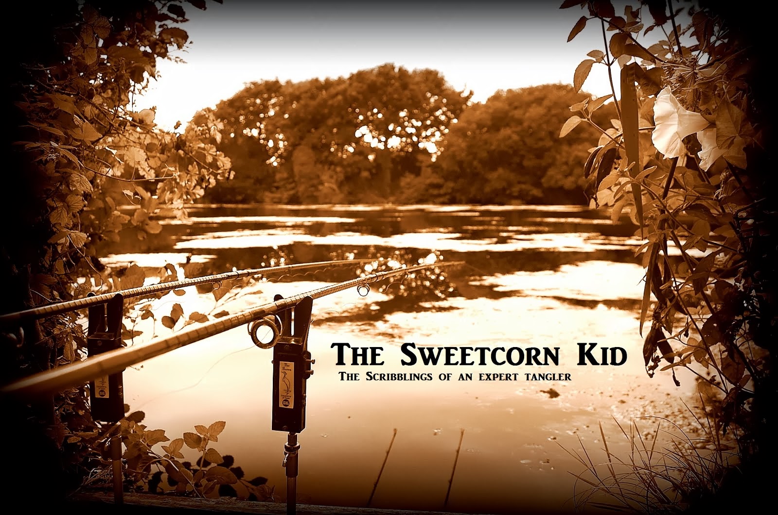 The Sweetcorn Kid