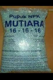 MANFAAT PUPUK NPK BAGI PERTUMBUHAN TANAMAN