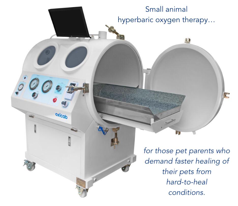 India. Veterinary hyperbaric oxygen therapy chamber for dogs, cats